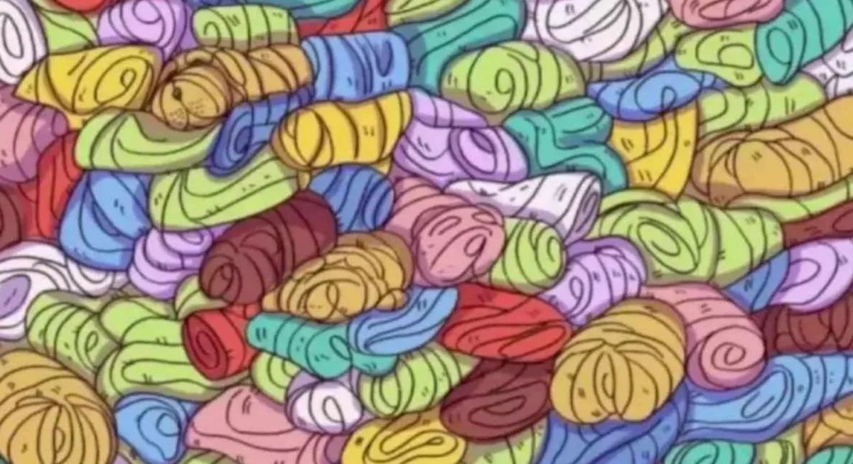 Puzzle