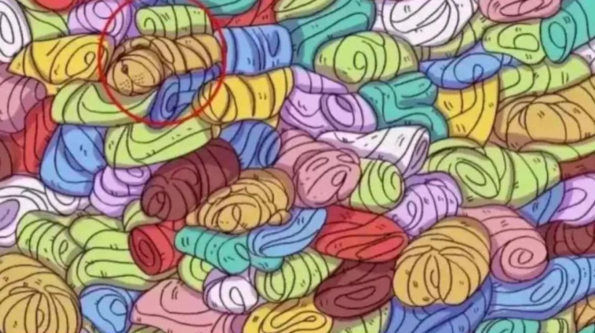 Răspunsul corect la puzzle 