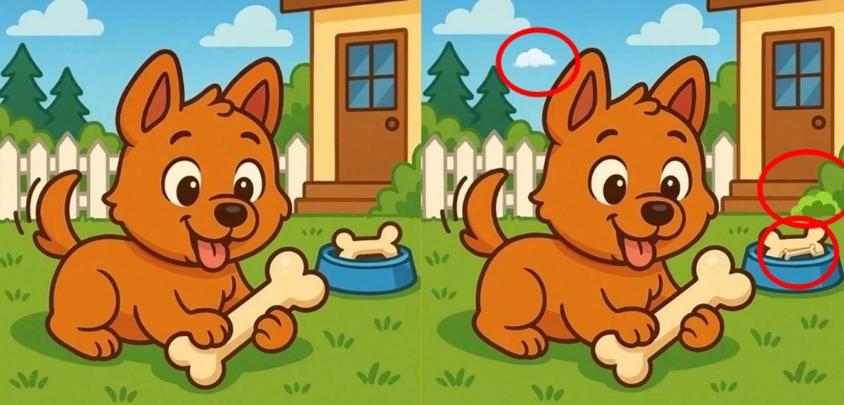 puzzle