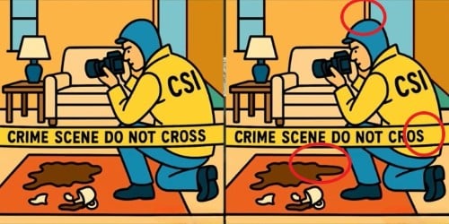 puzzle
