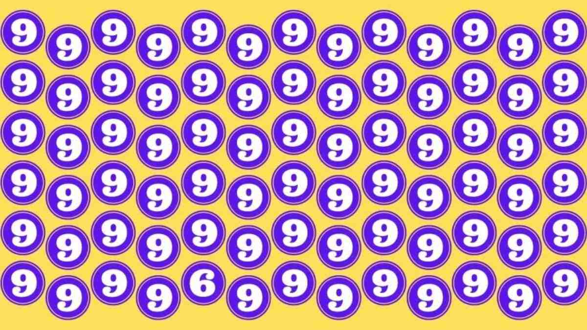 Puzzle uluitor: doar persoanele cu IQ ridicat pot găsi numărul 6