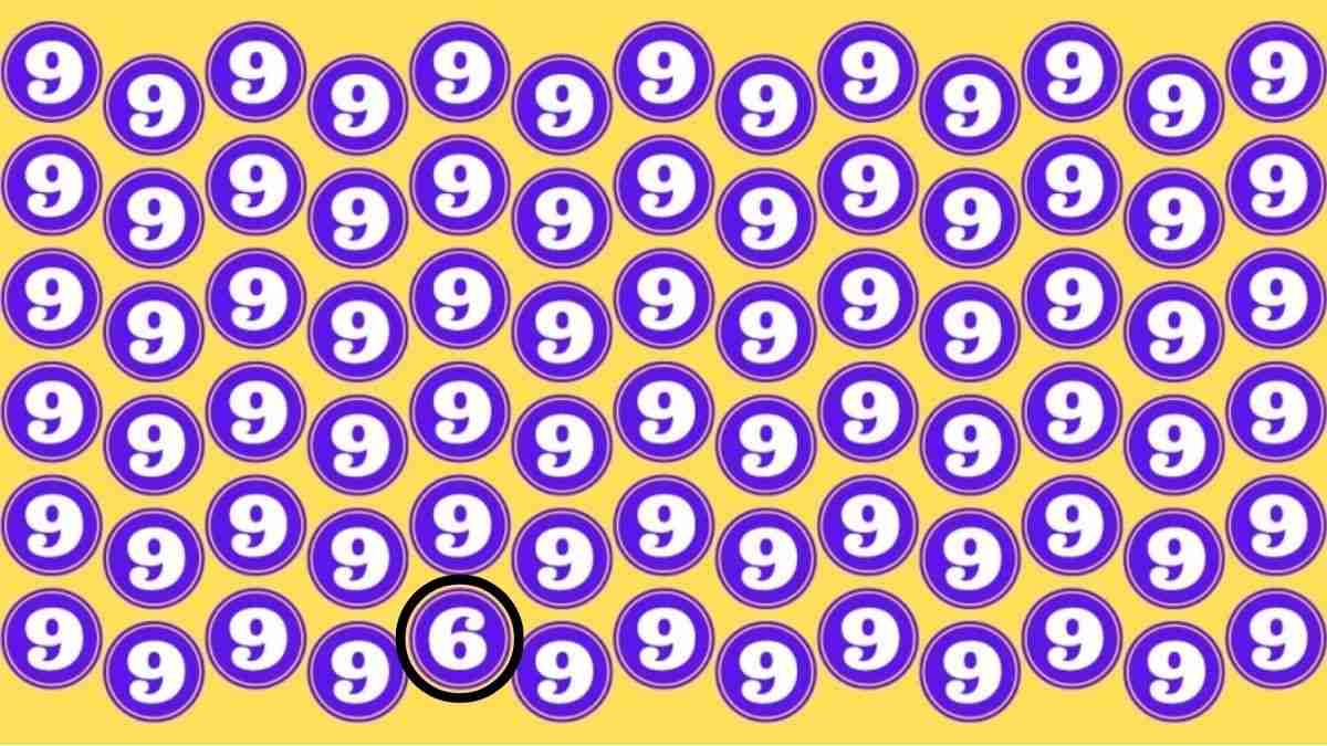 Puzzle năucitor: doar persoanele cu IQ ridicat pot găsi numărul 6