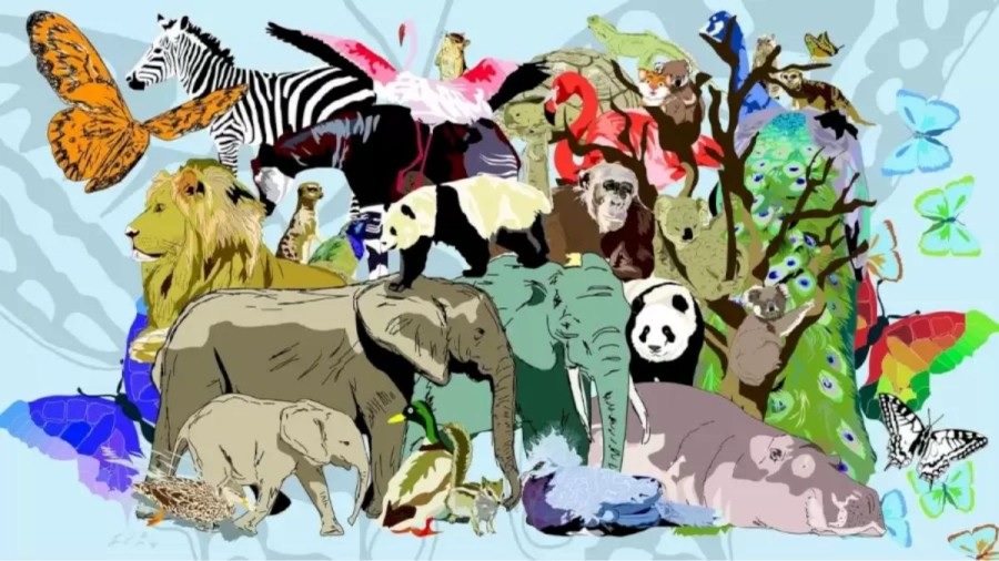 Puzzle