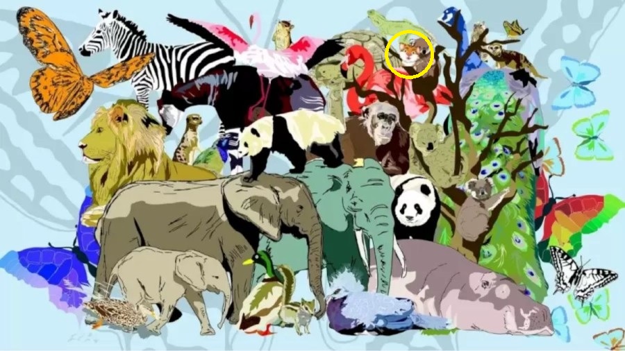 Puzzle