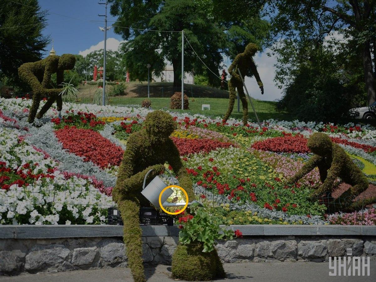Fotografie Moje