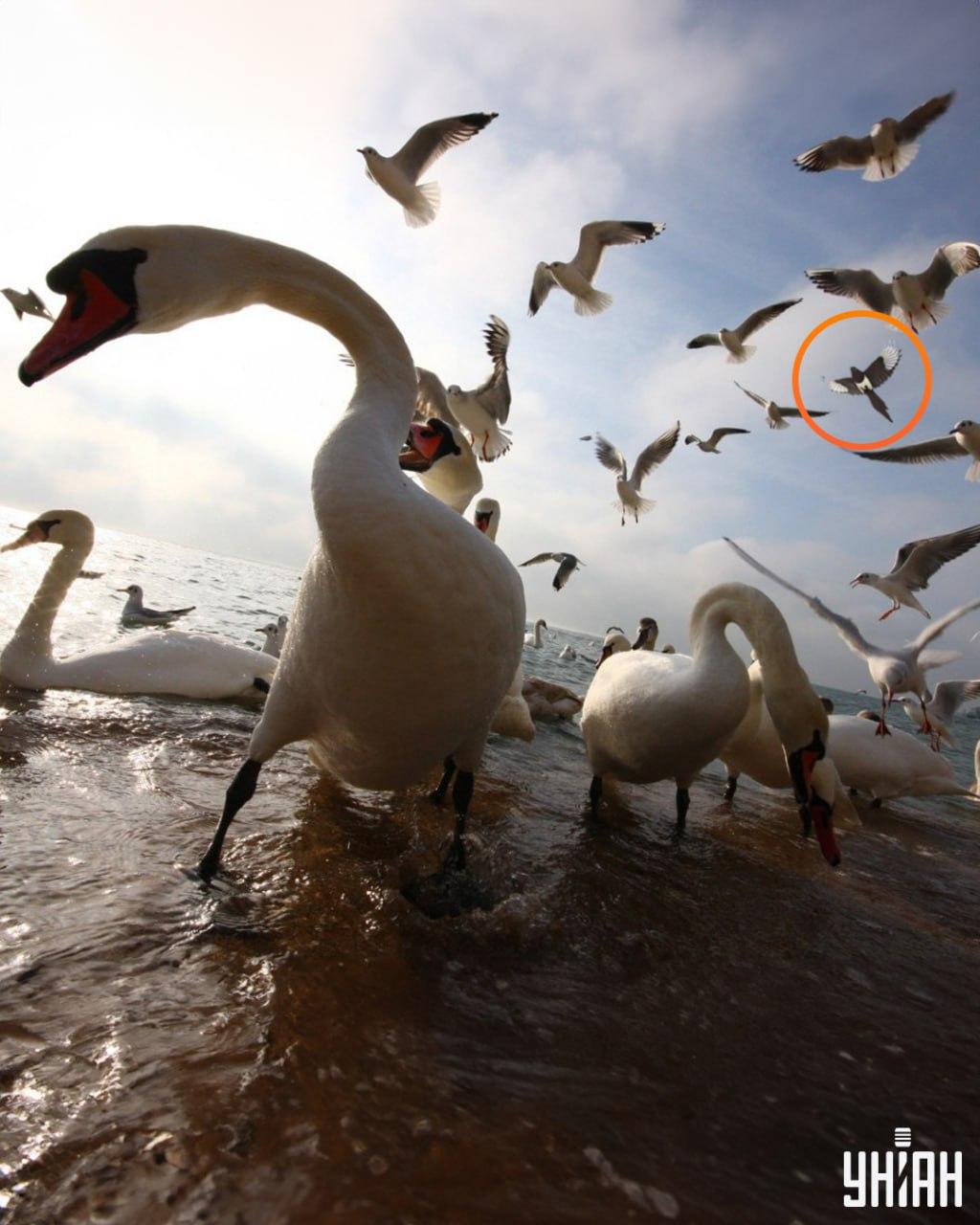 Fotografie Moje