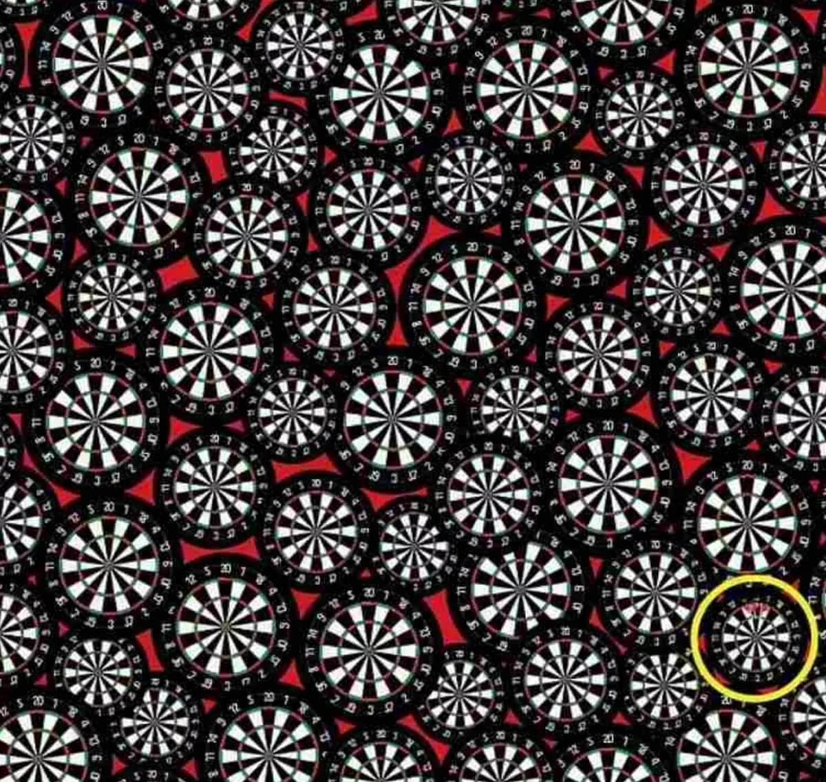 Răspunsul la puzzle 