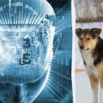 Doar 2% dintre oamenii foarte inteligenți vă vor arăta ce