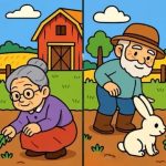 Trei diferențe între un pensionar și un iepure: un puzzle