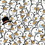 Un puzzle pentru cei cu vedere perfectă: trebuie să găsești
